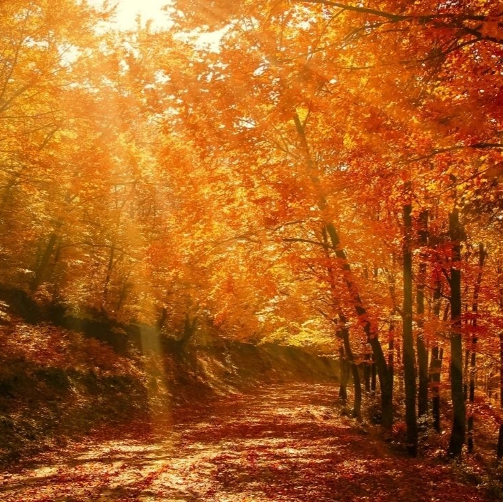 Bienvenido septiembre — Ritual de transición para el alma