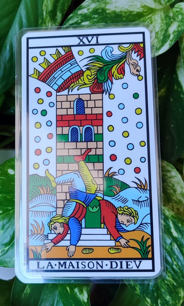 Carta La Maison Dieu del tarot de Marsella apoyada sobre hojas verdes de pothos.
