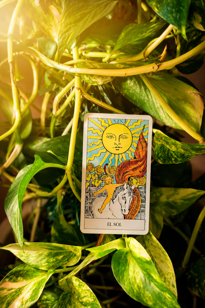 Carta del tarot El Sol rodeada de hojas verdes y luz natural en una composición mística y luminosa.