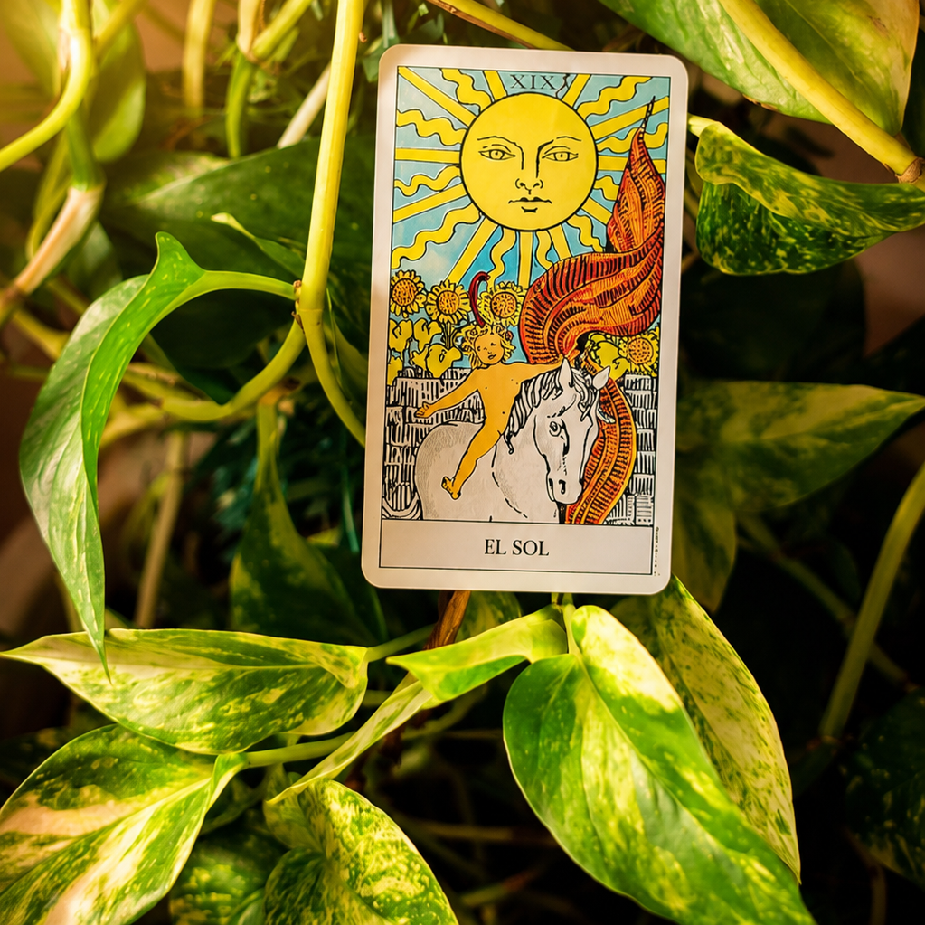 ☀️ El Sol también es descanso